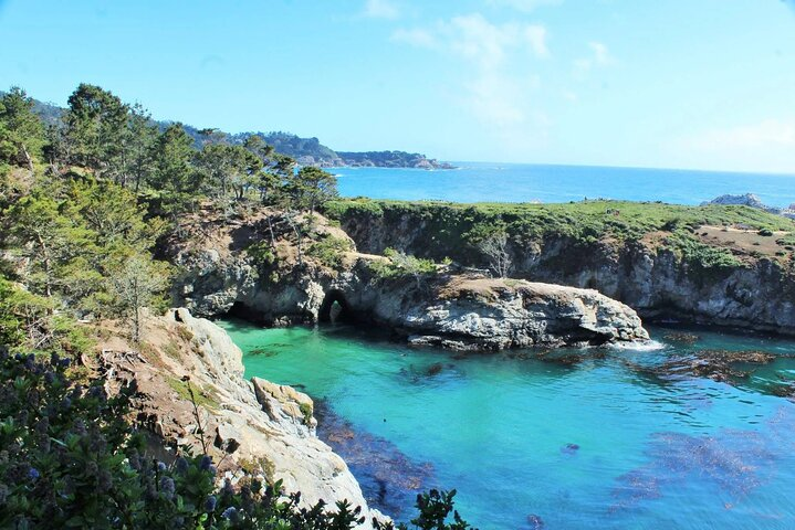 Point Lobos - A Private Charming Ocean Tour - Photo 1 of 8